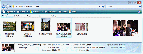 click for larger view of thumbnails of image files with the file extension dng in Windows Explorer on Windows